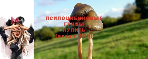 МДПВ Балахна
