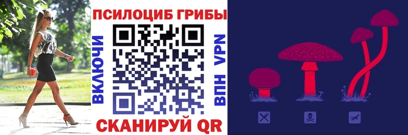 Псилоцибиновые грибы Psilocybine cubensis  Шарья 
